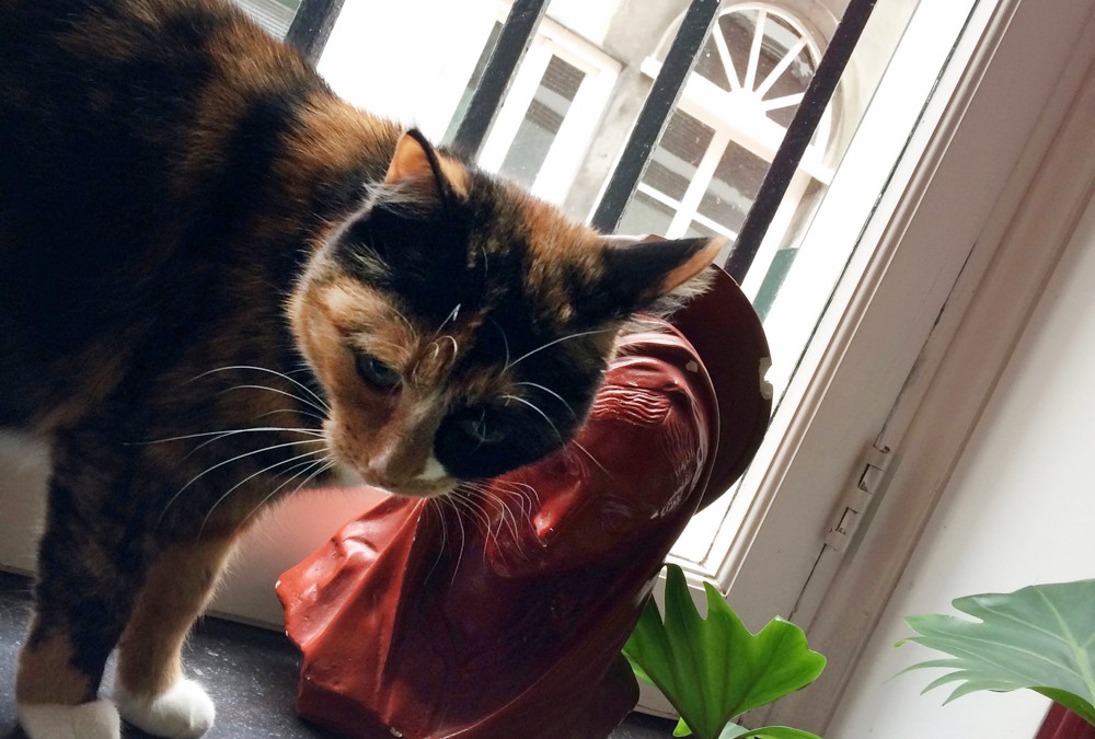 Filmcollectief RAM in Heemskerk