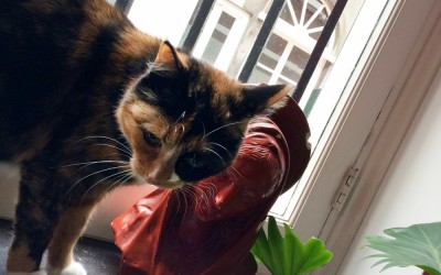 Filmcollectief RAM in Heemskerk