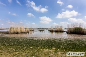 Alblasserdam - promotie voor brochures