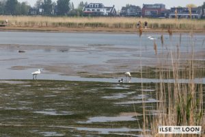 Alblasserdam - promotie voor brochures