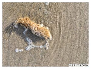 De Zee