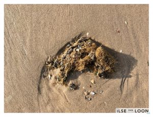 De Zee